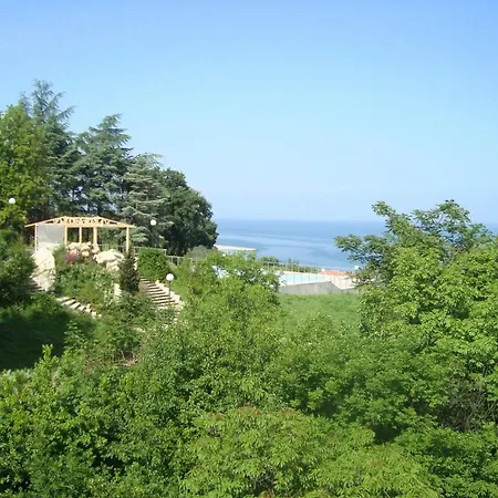 Mari Guest Golden Sands